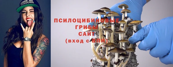 стаф Горнозаводск