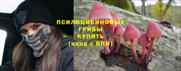 стаф Горнозаводск