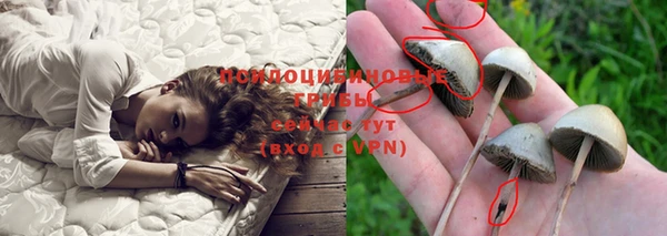 стаф Горнозаводск